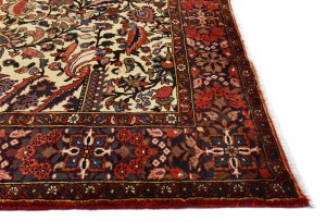 Vintage Floral Traditional 7'0X9'6 Bakhtiari Persian Rug