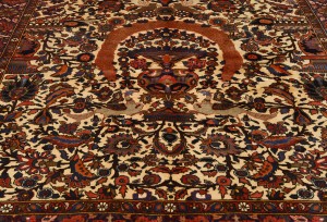 Vintage Floral Traditional 7'0X9'6 Bakhtiari Persian Rug