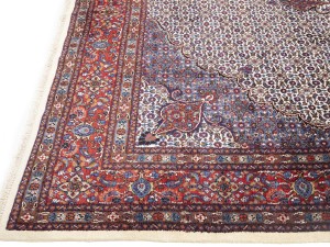 Cream Vintage Floral Classic 9X12 Mood Persian Rug