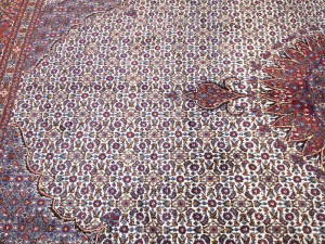 Cream Vintage Floral Classic 9X12 Mood Persian Rug
