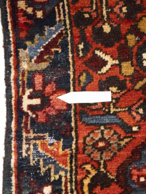 Red Vintage Floral 10X15 Bakhtiari Persian Oriental Rug