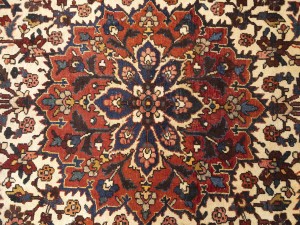 Red Vintage Floral 10X15 Bakhtiari Persian Oriental Rug
