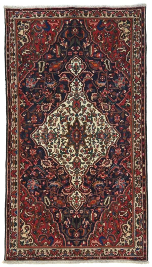Vintage Red Flora Traditional 5'4X9'8 Bakhtiari Persian Rug