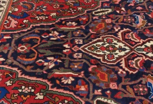 Vintage Red Flora Traditional 5'4X9'8 Bakhtiari Persian Rug