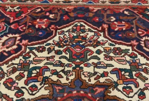 Vintage Red Flora Traditional 5'4X9'8 Bakhtiari Persian Rug