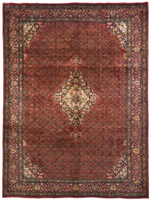 Vintage Orange-red Tribal Floral 10X13 Bidjar Persian Rug