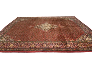 Vintage Orange-red Tribal Floral 10X13 Bidjar Persian Rug