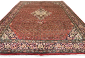 Vintage Orange-red Tribal Floral 10X13 Bidjar Persian Rug