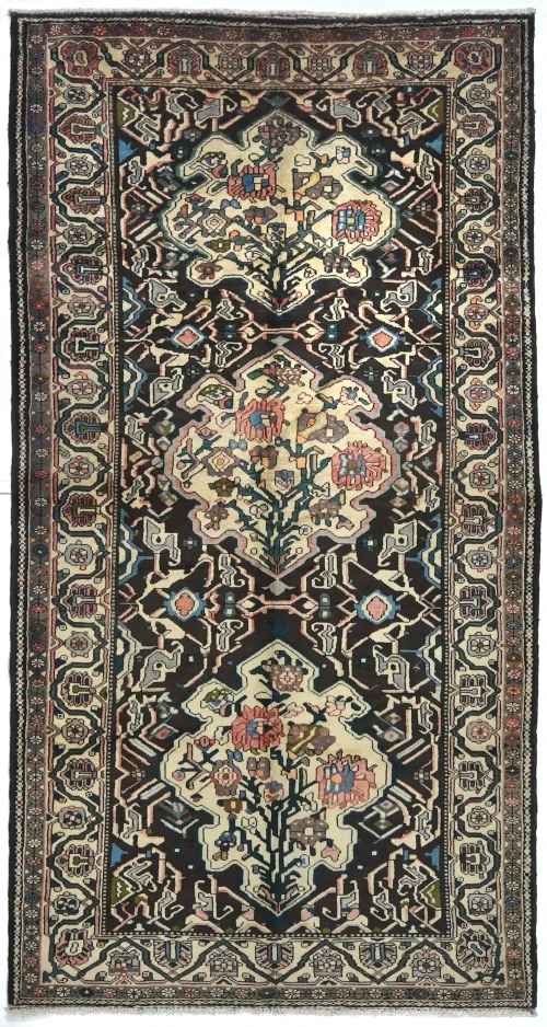 Vintage Dark Brown Floral 5'5X10'2 Bakhtiari Persian Runner Rug