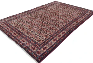 Vintage Cream Allover Traditional 6X10 Mood Persian Rug