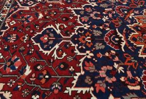 Vintage Red Floral 10X12 Bakhtiari Persian Rug