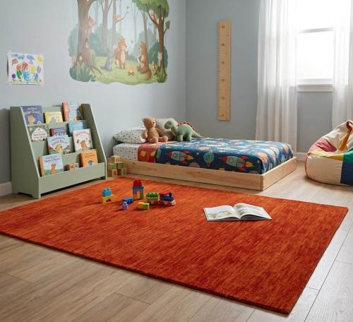 Orange Red Solid Gabbeh Modern Rug in All Size