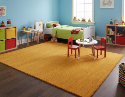 Orange Modern Solid 9X12 Gabbeh Oriental Rug