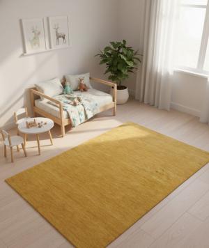 Golden Peach Modern Solid 3X5 Gabbeh Oriental Rug