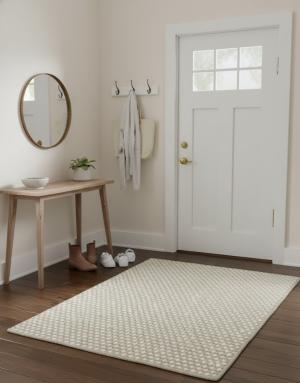 Beige 2X3 Zero Count Wool Braided Modern Rug