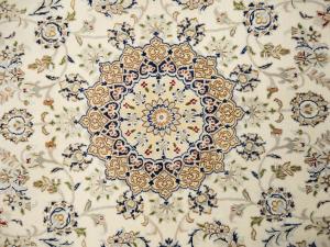 Ivory Floral 5x8 Indo-Nain Oriental Rug