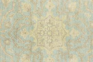 Muted Aqua Blue Floral Transitional 8X10 Oriental Rug