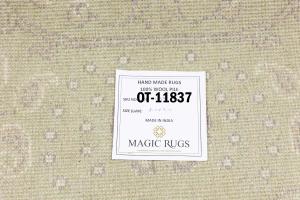 Muted Light Green Floral 6X6 Transitional Oriental Round Rug