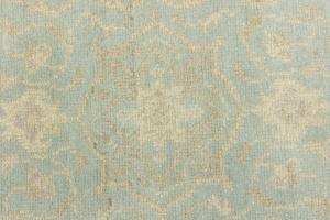 Muted Aqua Blue Floral Transitional 3X10 Oriental Runner Rug