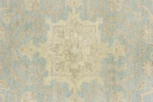 Muted Aqua Blue Floral Transitional 10x14 Oriental Area Rug