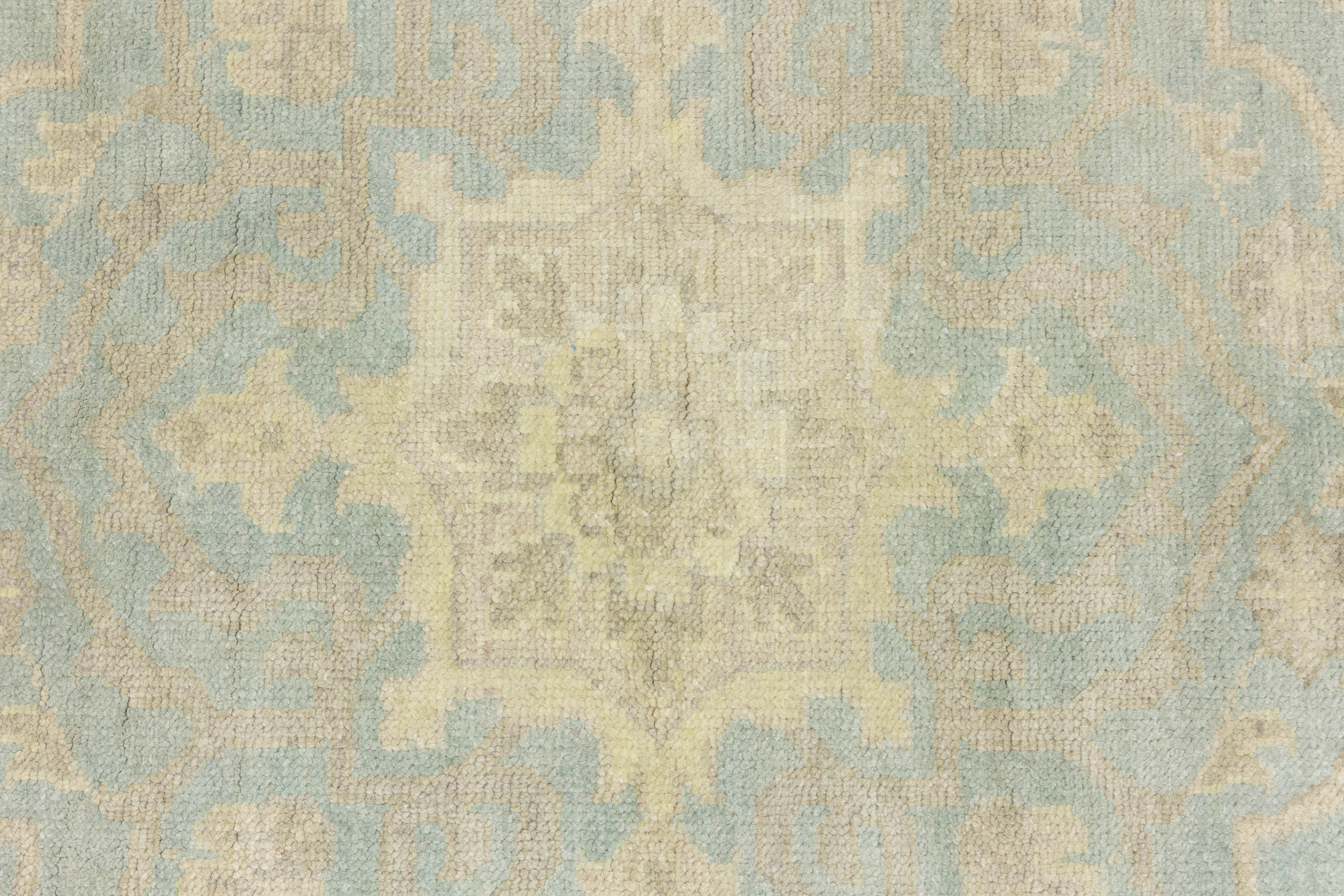 Muted Aqua Blue Floral Transitional 10x14 Oriental Area Rug