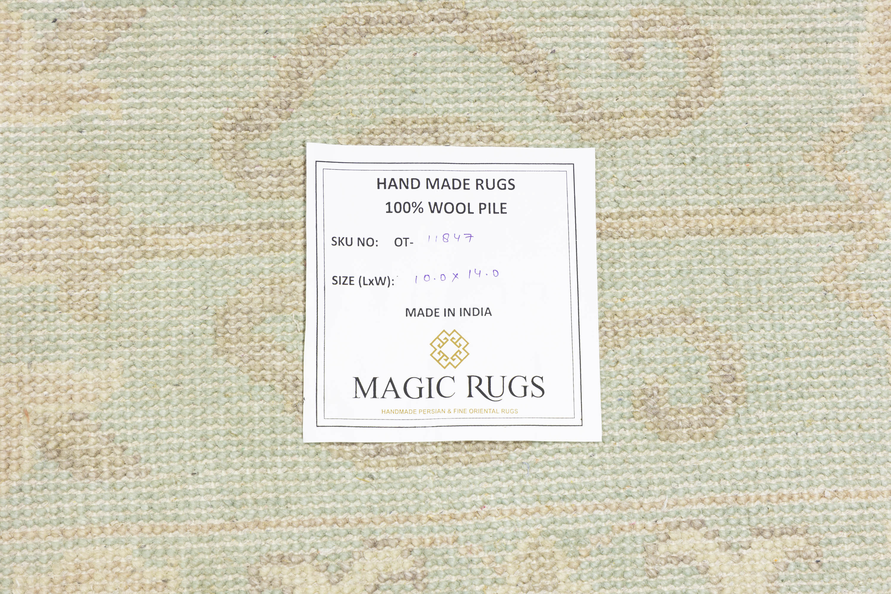 Muted Aqua Blue Floral Transitional 10x14 Oriental Area Rug