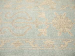 Muted Aqua Blue Floral Transitional 12x15 Oriental Rug