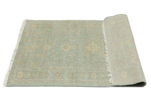 Muted Aqua Blue Floral 3X5 Transitional Oriental Rug
