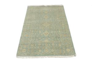 Muted Aqua Blue Floral 3X5 Transitional Oriental Rug