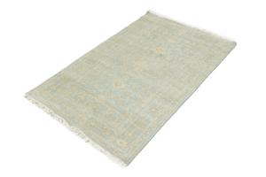 Muted Aqua Blue Floral 3X5 Transitional Oriental Rug
