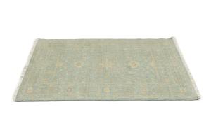 Muted Aqua Blue Floral 3X5 Transitional Oriental Rug