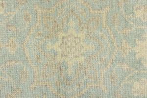 Muted Aqua Blue Floral 3X5 Transitional Oriental Rug