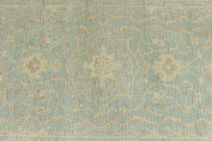 Muted Aqua Blue Floral 3X5 Transitional Oriental Rug