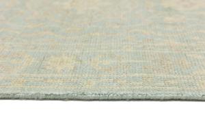 Muted Aqua Blue Floral 3X5 Transitional Oriental Rug