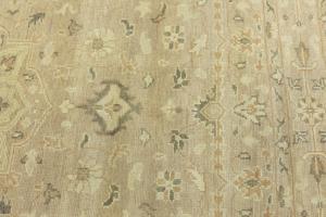 Muted Beige Floral 6x9 Transitional Oriental Area Rug