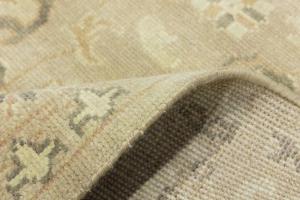 Muted Beige Floral 6x9 Transitional Oriental Area Rug