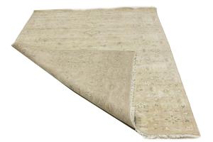 Muted Beige Floral 6x9 Transitional Oriental Area Rug