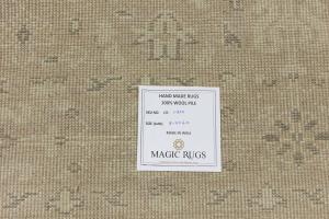 Muted Beige Floral 6x9 Transitional Oriental Area Rug
