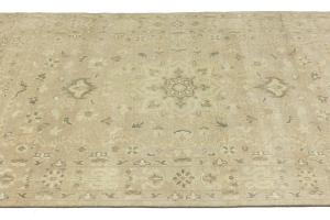 Muted Beige Floral 6x9 Transitional Oriental Area Rug