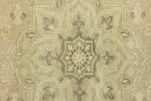 Muted Beige Floral 6x9 Transitional Oriental Area Rug
