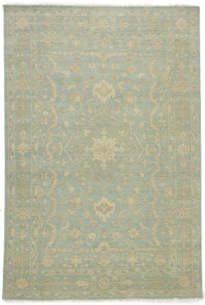 Muted Aqua Blue Floral 6X9 Transitional Oriental Rug