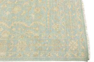 Muted Aqua Blue Floral 6X9 Transitional Oriental Rug