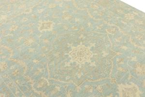 Muted Aqua Blue Floral 6X9 Transitional Oriental Rug
