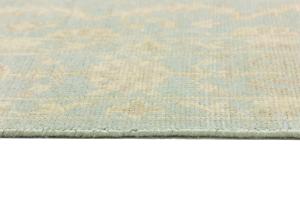 Muted Aqua Blue Floral 6X9 Transitional Oriental Rug