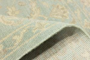 Muted Aqua Blue Floral 6X9 Transitional Oriental Rug