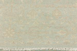 Muted Aqua Blue Floral 6X9 Transitional Oriental Rug