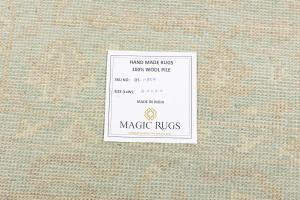 Muted Aqua Blue Floral 6X9 Transitional Oriental Rug