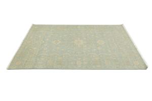 Muted Aqua Blue Floral 6X9 Transitional Oriental Rug
