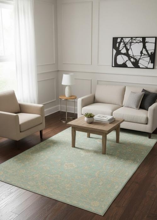 Muted Aqua Blue Floral 6X9 Transitional Oriental Rug