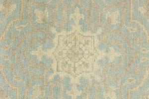 Muted Aqua Blue Floral 6X9 Transitional Oriental Rug